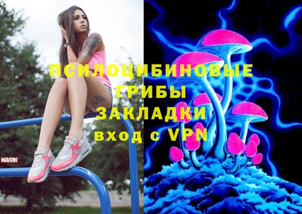 спайс Баксан