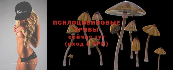 спайс Баксан