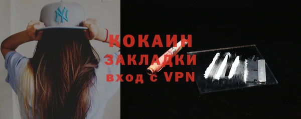молекула духа Арсеньев