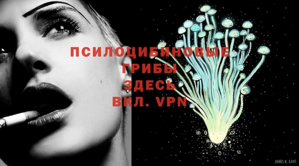 спайс Баксан