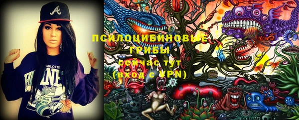 спайс Баксан