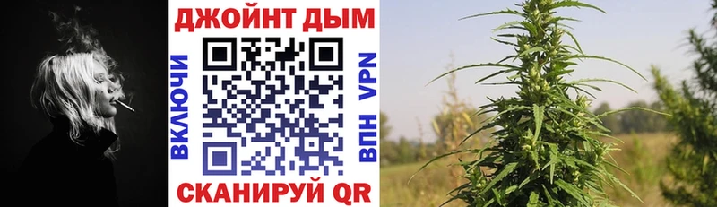 Бошки Шишки THC 21%  цены наркотик  Сольвычегодск 